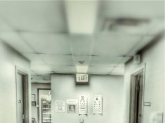 Tips for Maintaining Healthy Bones in Seniors Tips for Maintaining Healthy Bones in Seniors