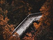 Quick tips for practicing mindfulness daily Quick tips for practicing mindfulness daily