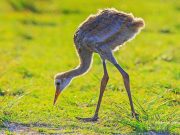 How to Snack Healthily Throughout the Day How to Snack Healthily Throughout the Day