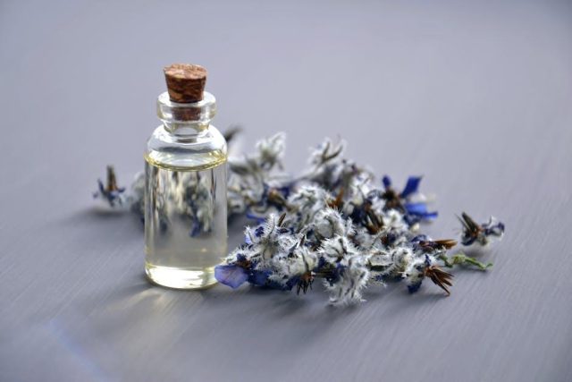 Top 5 Essential Oils for Relaxation and Stress Relief