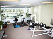 The Best Workouts for Office Workers The Best Workouts for Office Workers