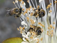 Quick Workouts for Busy Schedules Quick Workouts for Busy Schedules