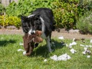 Simple tips for controlling anger in stressful moments Simple tips for controlling anger in stressful moments