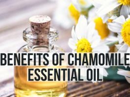 The Benefits of Using Chamomile for Better Sleep