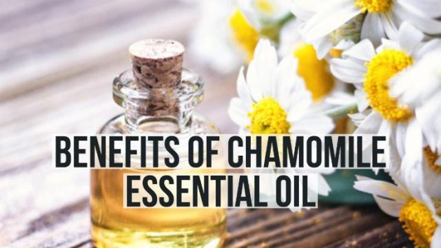 The Benefits of Using Chamomile for Better Sleep