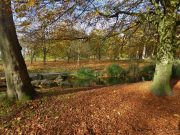 The Importance of Outdoor Play for Childrens Health The Importance of Outdoor Play for Childrens Health