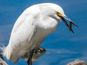 The Importance of Eating Seasonally for Better Nutrition The Importance of Eating Seasonally for Better Nutrition