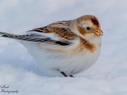 How to Stay Active During the Winter Months How to Stay Active During the Winter Months