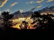 Tips for managing stress while working remotely Tips for managing stress while working remotely