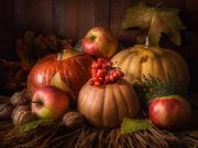 Tips for Eating Healthy During the Holidays Tips for Eating Healthy During the Holidays