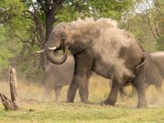 Best Sunscreens for Sensitive Skin Best Sunscreens for Sensitive Skin