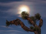 Simple tips to reduce travel anxiety Simple tips to reduce travel anxiety