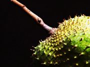 Natural Remedies for Improving Heart Health Natural Remedies for Improving Heart Health