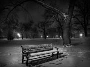 How to Strengthen Your Lungs with Herbal Treatments How to Strengthen Your Lungs with Herbal Treatments