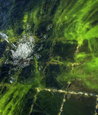 How to Create a Balanced School Lunch for Your Child How to Create a Balanced School Lunch for Your Child