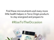 The Best PlantBased Protein Powders for Smoothies The Best PlantBased Protein Powders for Smoothies