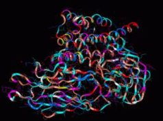 The Importance of Protein for Muscle Health The Importance of Protein for Muscle Health