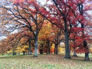 How to manage mental health after a traumatic event How to manage mental health after a traumatic event