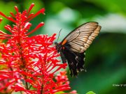 Quick tips to stop feeling overwhelmed Quick tips to stop feeling overwhelmed