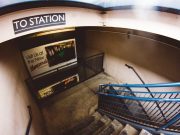 The Power of Daily Movement for Holistic Well Being The Power of Daily Movement for Holistic Well Being