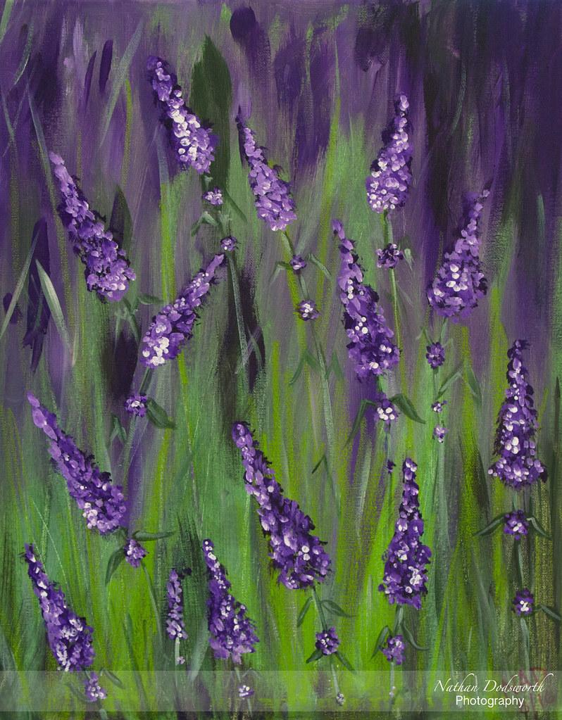 Understanding Lavender’s Calming Properties