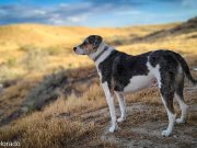 How to Establish Healthy Sleep Routines for Children How to Establish Healthy Sleep Routines for Children