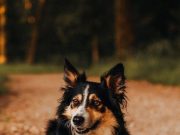 Tips for regulating emotions effectively Tips for regulating emotions effectively