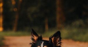 Tips for regulating emotions effectively Tips for regulating emotions effectively