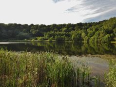 Tips for Enhancing Seniors Quality of Life Tips for Enhancing Seniors Quality of Life