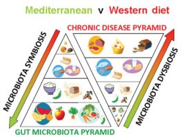 Best Tips for Balancing Your Gut Microbiome Through Diet