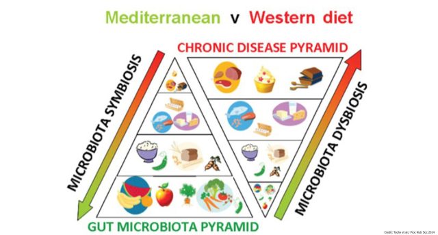 Best Tips for Balancing Your Gut Microbiome Through Diet