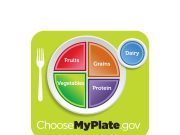 The Role of Nutrition in Healthy Aging The Role of Nutrition in Healthy Aging