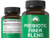 Top Prebiotic Supplements for Gut Health Top Prebiotic Supplements for Gut Health