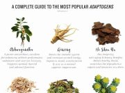 The Best Adaptogenic Herbs for Stress Management The Best Adaptogenic Herbs for Stress Management