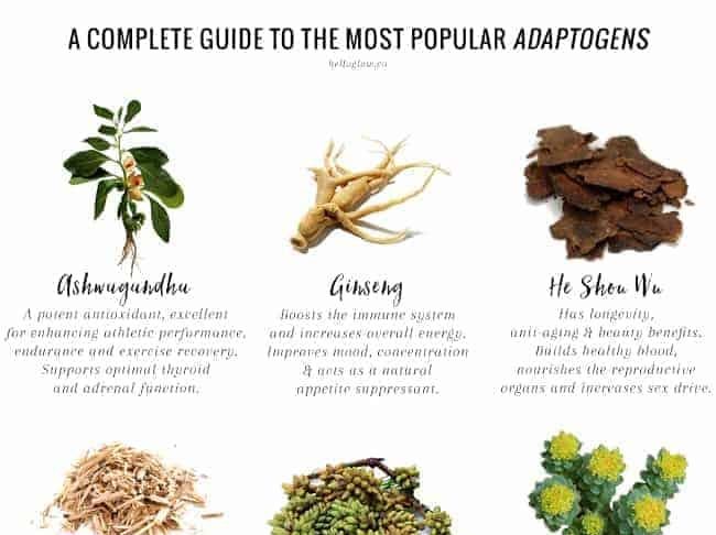 The Best Adaptogenic Herbs for Stress Management