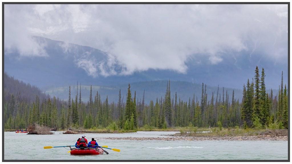 Nurturing Mental Well-being ​with Natures Playground