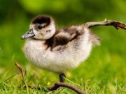 How to Improve Flexibility with Stretching How to Improve Flexibility with Stretching