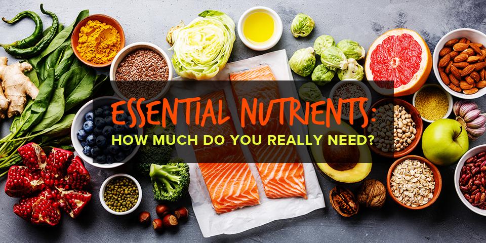 Incorporating Essential Nutrients for Longevity