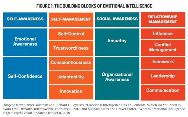 Developing Emotional Awareness and Regulation Techniques