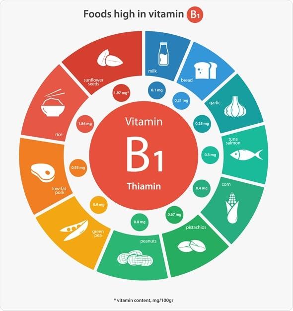 Understanding the Vital Functions of B Vitamins in ⁣Your Energy Pathways