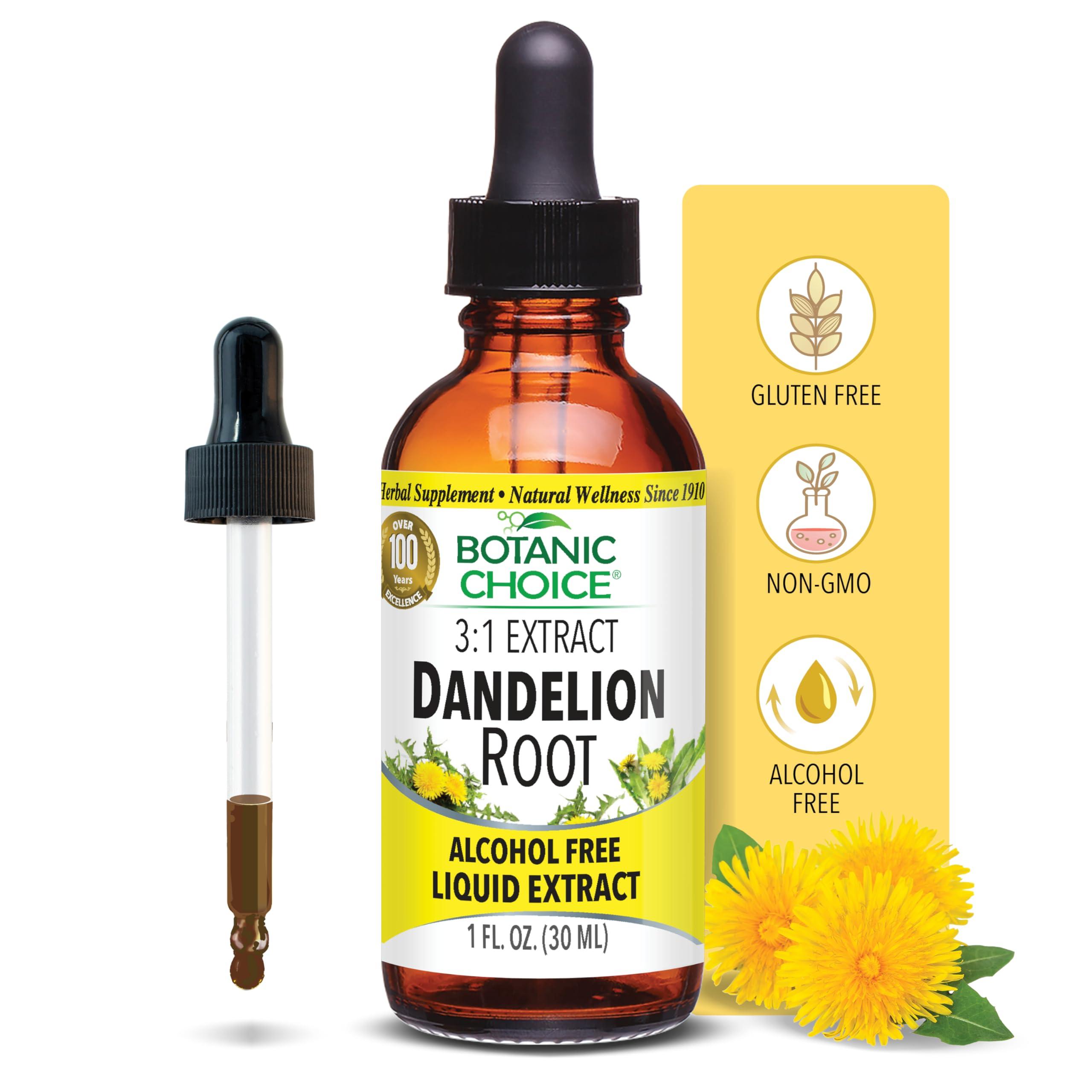 Incorporating Dandelion into Your Daily Routine for Liver Health