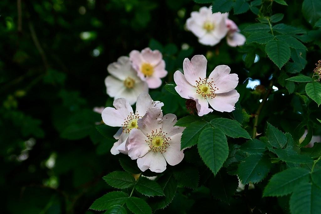 Essential Fatty Acids: Unlock the Secret to a Supple Complexion