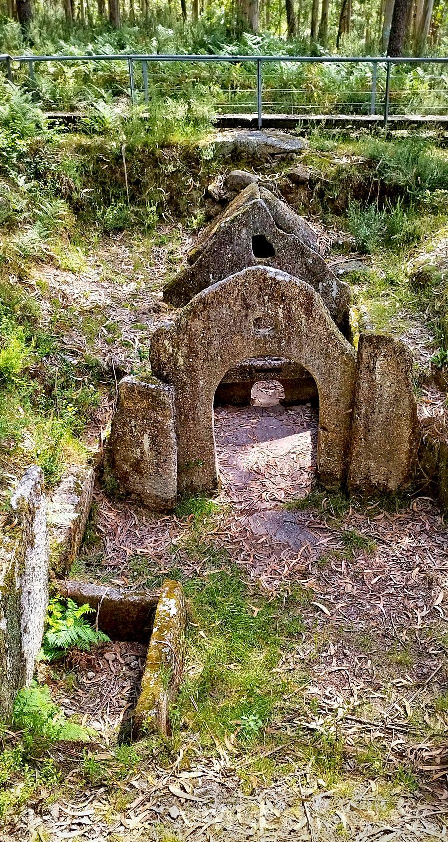 Cultivating a Restful Environment for Better Immunity