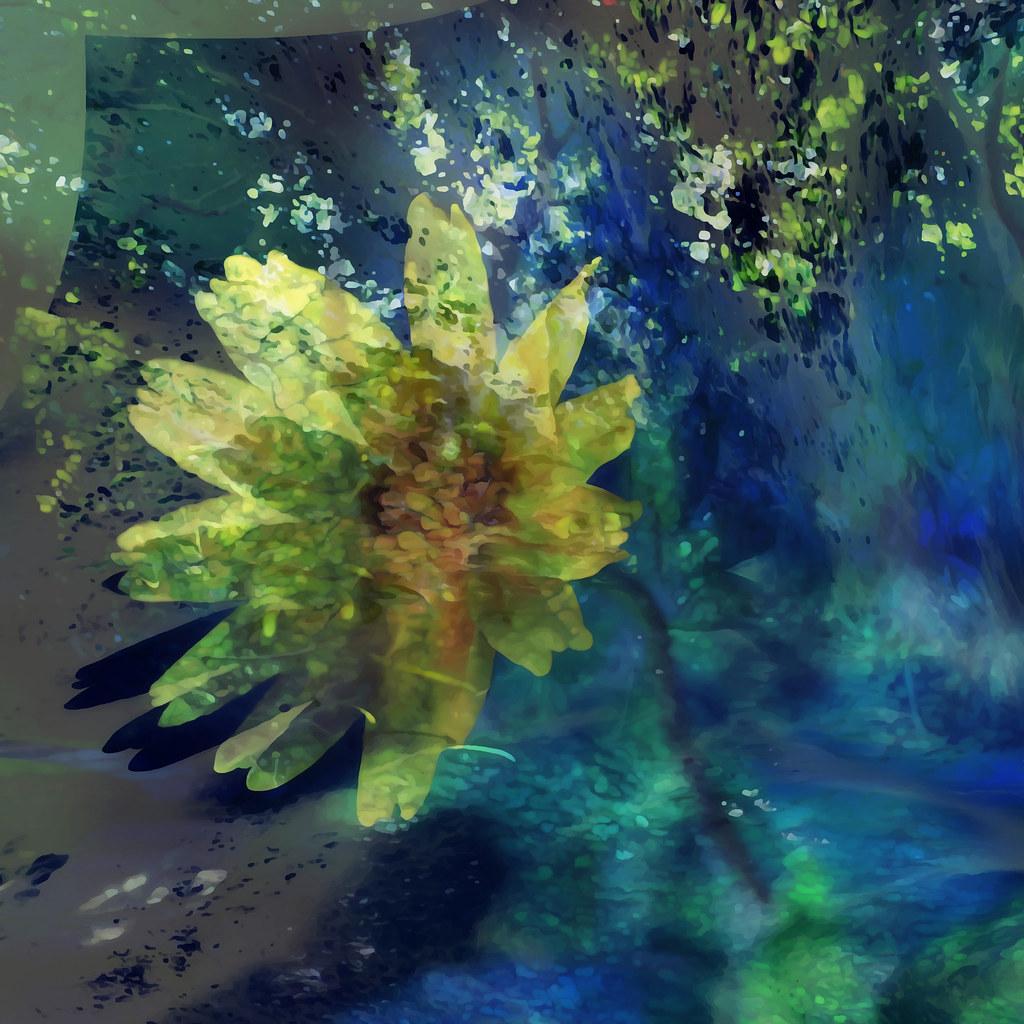 Incorporating Natural Elements into Everyday Life