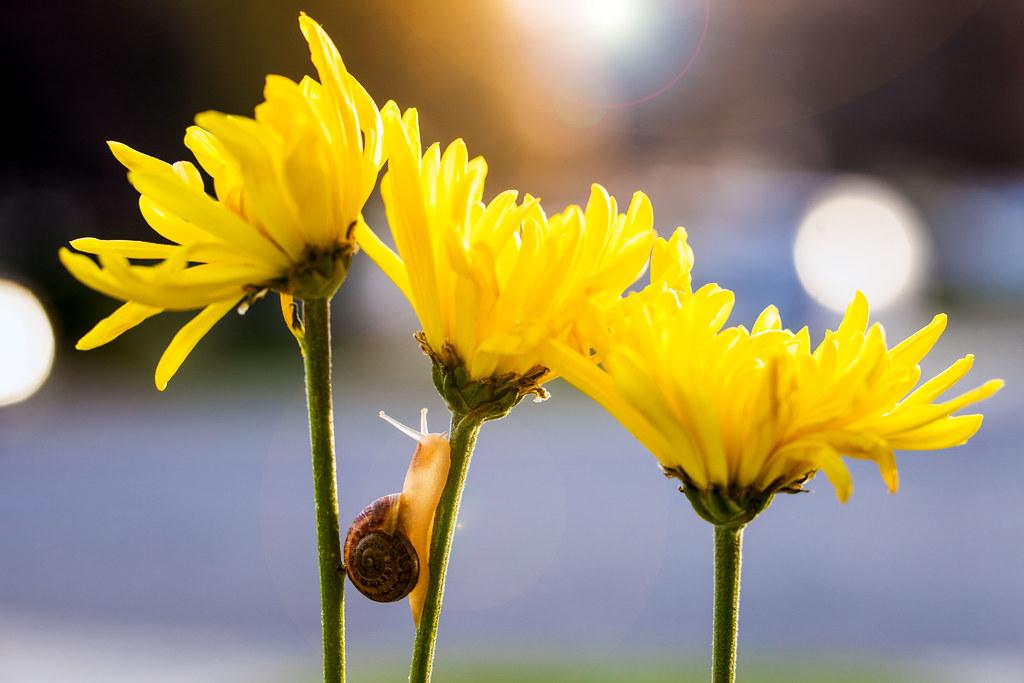 Harness the Power of Gratitude for a Happier Outlook