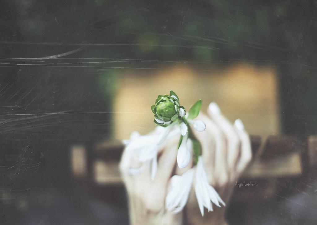 Cultivate Mindful Mornings to Set a Positive Tone