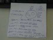 How to Improve Your Skin Through Diet How to Improve Your Skin Through Diet