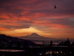 Tips for coping with long term stress Tips for coping with long term stress