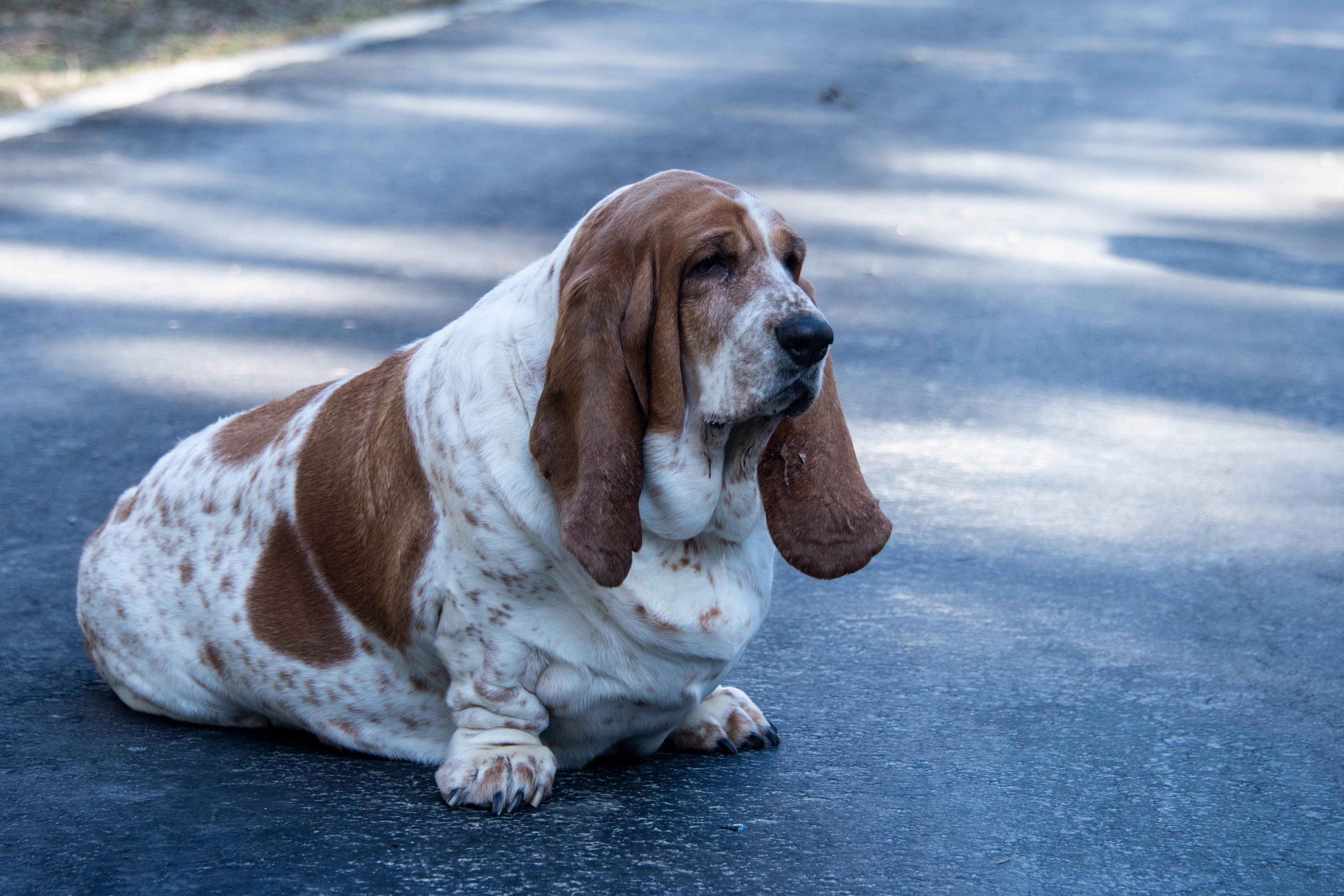 Understanding Your Body’s Limits and⁣ Needs