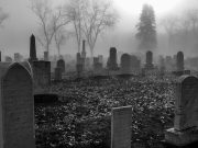 How to cope with grief after losing a loved one How to cope with grief after losing a loved one